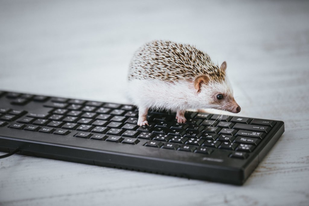 テクノロジーが発展しても最も忘れてはならない商売の原理原則-スマートニュース西口 - データの裏側まで把握しているか？