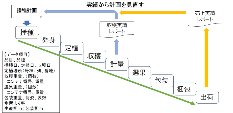 株式会社アプレ「クラウドで農業をパワーアップ」 - 野菜の生産工程