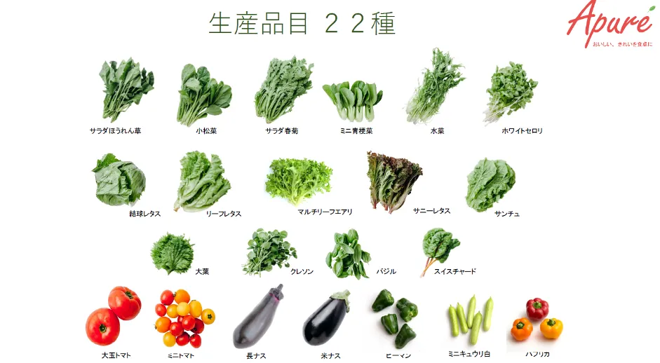 株式会社アプレ「クラウドで農業をパワーアップ」 - 年間を通じた多品目の野菜栽培（3）