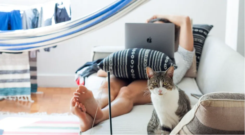 ウェブ★ビー「個人事業のウェブ制作者が抱える問題をクラウドで一発解決！」 - 創業以来ずっとテレワークを実現