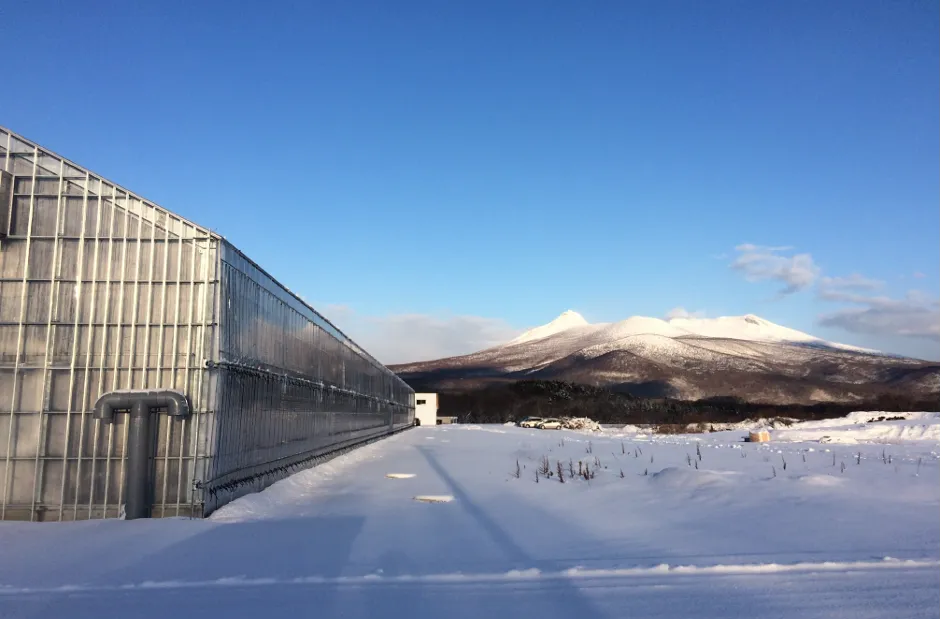 株式会社アプレ「クラウドで農業をパワーアップ」 - 年間を通じた多品目の野菜栽培