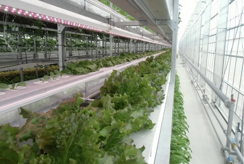 株式会社アプレ「クラウドで農業をパワーアップ」 - 年間を通じた多品目の野菜栽培（2）